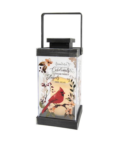 Cardinals Lantern