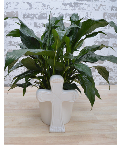 Cross Peace Lily