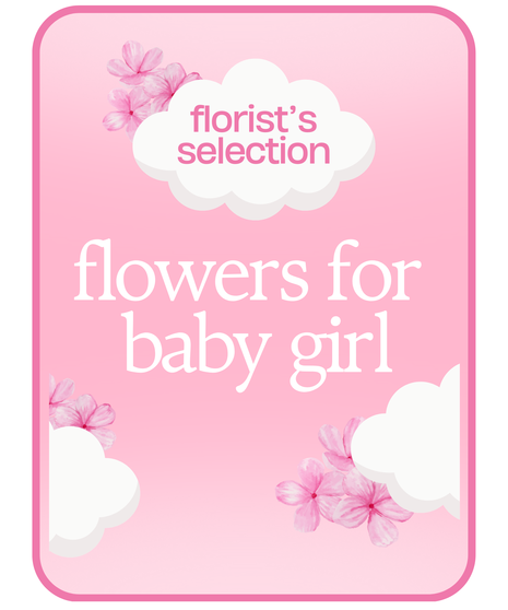 Designers Choice Baby Girl