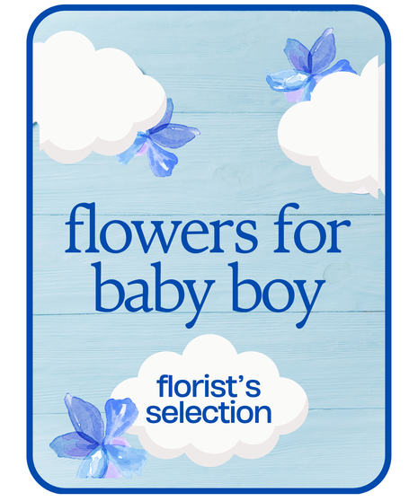 Designers Choice Baby Boy