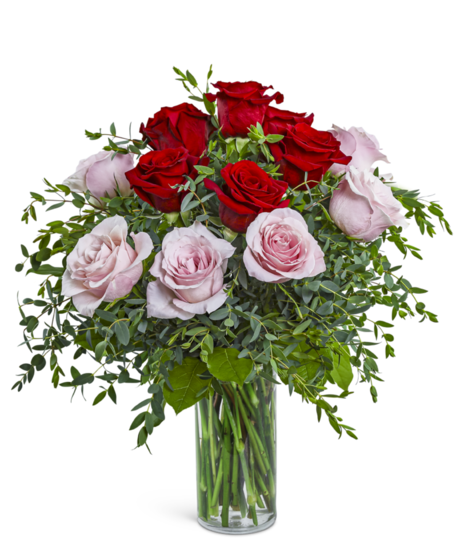 One Dozen Perfect Pink and Red Roses