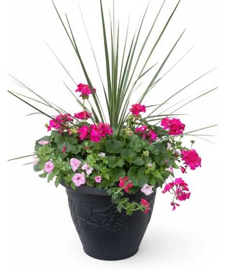 Outdoor Patio Pot