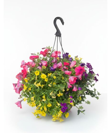 Outdoor Hanging Basket