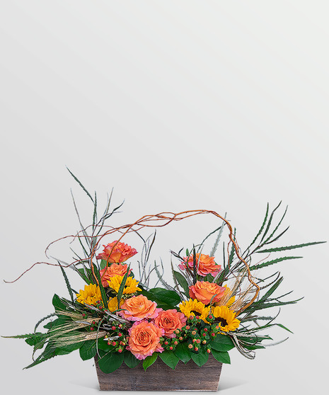 A Walk on the Wild Side