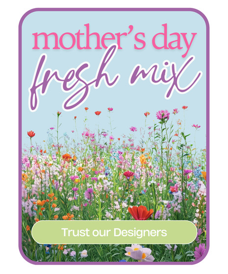 Designer's Choice Mother's Day Arrangement