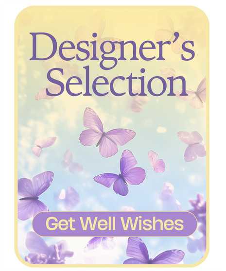 Designer's Selection Get Well Wishes