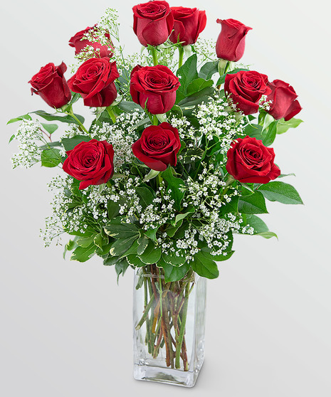 Dozen Roses in a Cloud