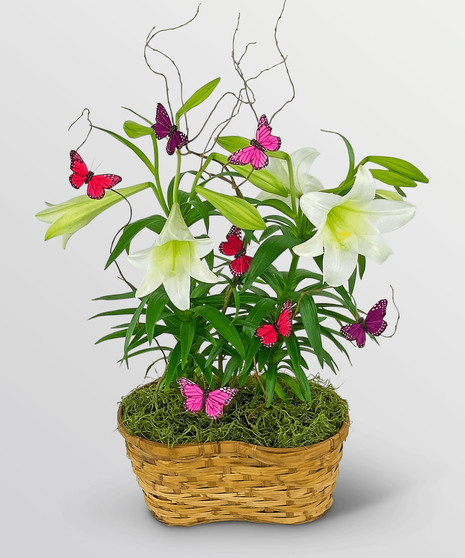 Easter Lilies in Spring Basket
