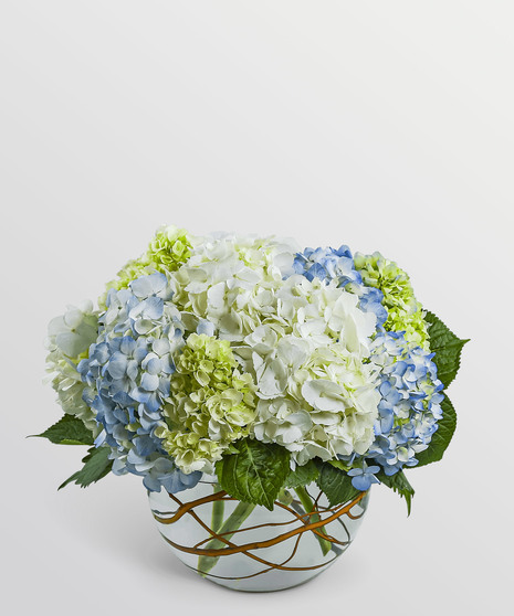 Modern Hydrangea
