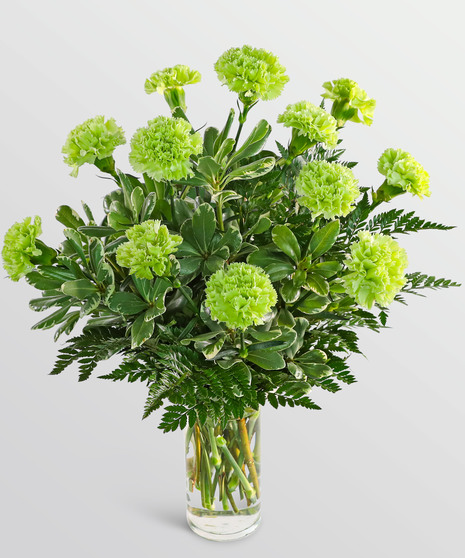 One Dozen Green Carnations