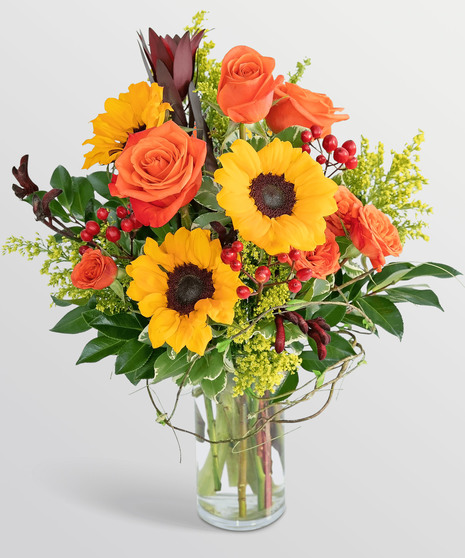 Postcard from Tuscany