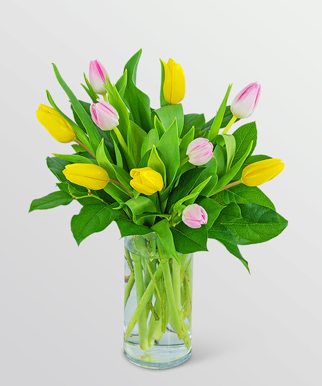 Strawberry Lemonade Tulips