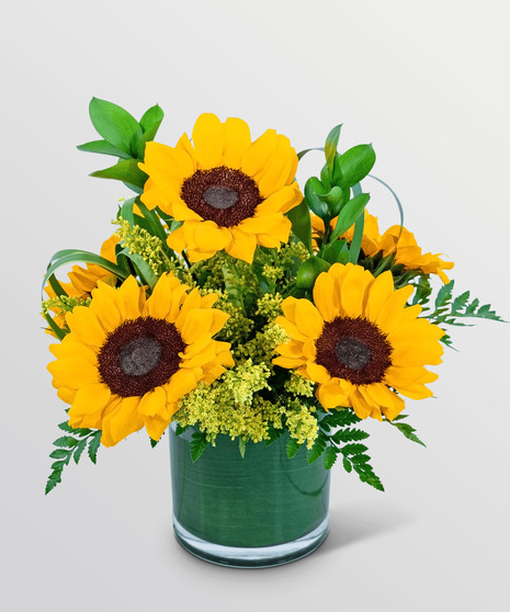 Sunshine Sunflowers