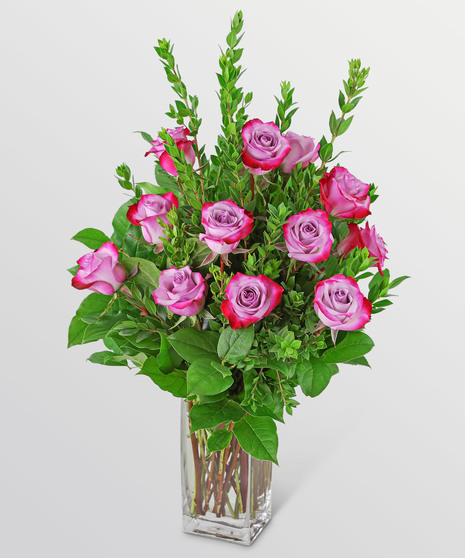 Vibrant Lavender Roses (12)