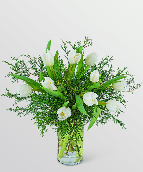 Winter White Tulips