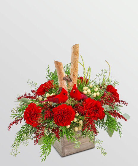 Woodland Cardinal Cheer